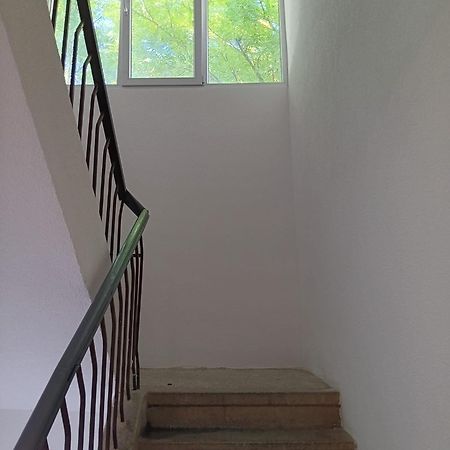 Apartman Sonja Vandrarhem Dubrovnik Exteriör bild